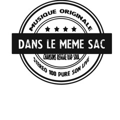 Unity Dub - Dans le même sac