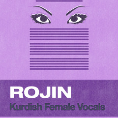 Sonokinetic Rojin - Chapi