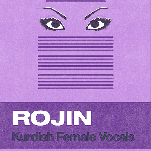 Sonokinetic Rojin - Chapi