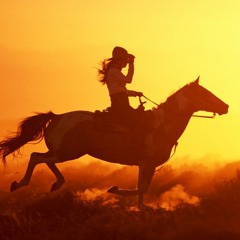 Broken Horses