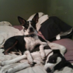 Sweet Little Nothings