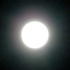 Telescopic Moon