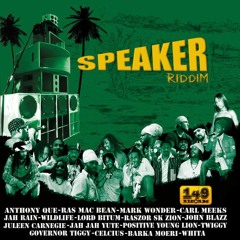 MIX SPEAKER RIDDIM - VA - 149 RECORDS