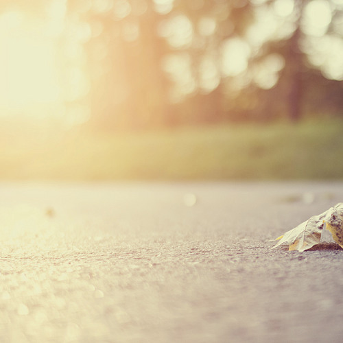 Pseudonym - Quality of the Light (in progress)