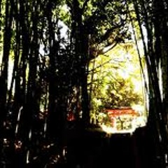 New private playlist