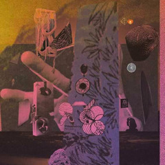 patten - blush mosaic