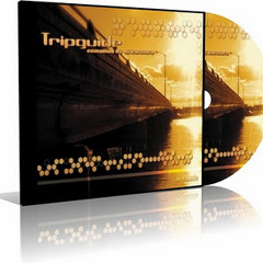 TOXYNTH - Repulse - V/A Tripguide 2010