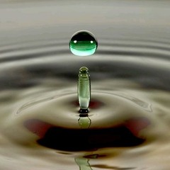 SHADOWFAX - LETTING GO