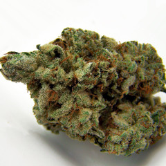 Kush (FREE ON FACEBOOK)