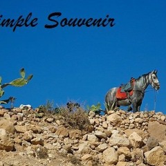 Simple Souvenir - Traffic - Stereophonics Cover.