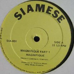 Magnifique - Magnifique - Part 1 & 2 - DiscoDeviled it
