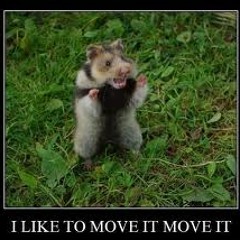 I like to move it