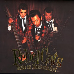 Rebel Cats - Tuve Un Sueño
