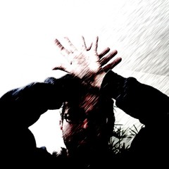 Les rennes du père noël