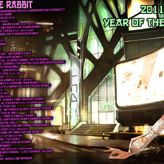 2011 Year Of The Rabbit
