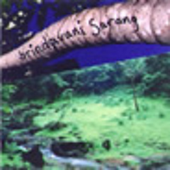 Brindivani Sarang - Dhun (in Keherwa) - from CAT-6 - s/t 2006