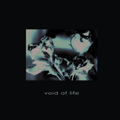 five:one one : deleted track from void of life