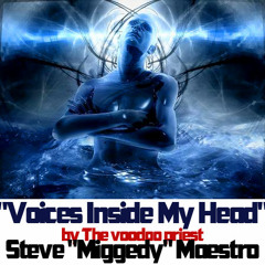 Steve "Miggedy" Maestro ("Voices Inside My Head")  - FuturaMix