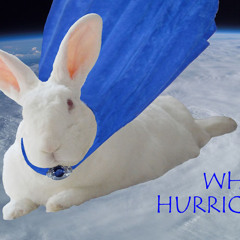 Hurricane Boy - The Homicide 5