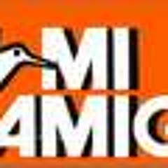 Costa Brava drive in show