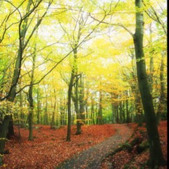 lo-fi drum session at The kichen