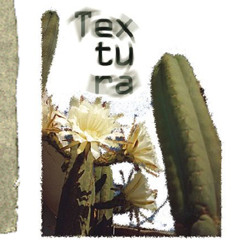 Textura / Textura // En los escombros