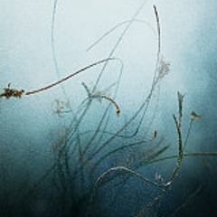 Ben Slade - Tides of war [Recorded at Vittoria Wharf Studio's]