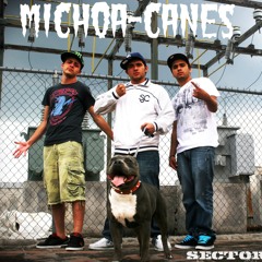 Simplemente Lo Hacemos - Sector 43