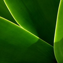 hidden turn - skoool (clip)