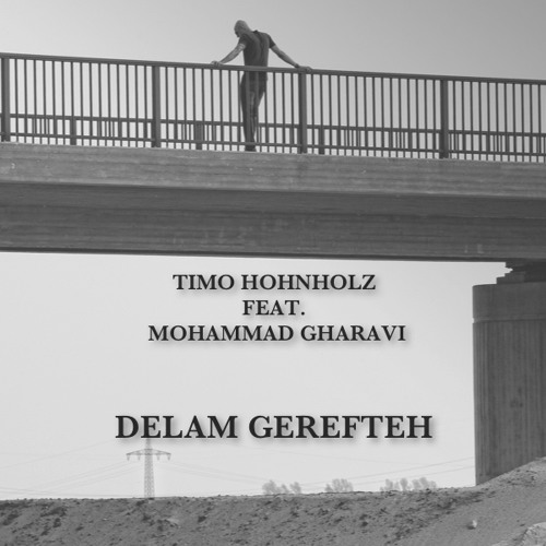 Timo Hohnholz Feat. Mohammad Gharavi - Delam Gerefteh