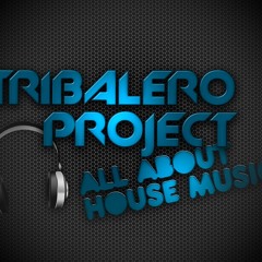 Tribalero Project - All About House Music (Original Mix)