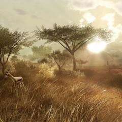 Nikosh - Savanne (original mix)