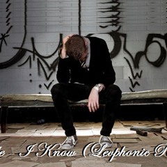 Kastle - I Know (you want a Levphonic Remix)