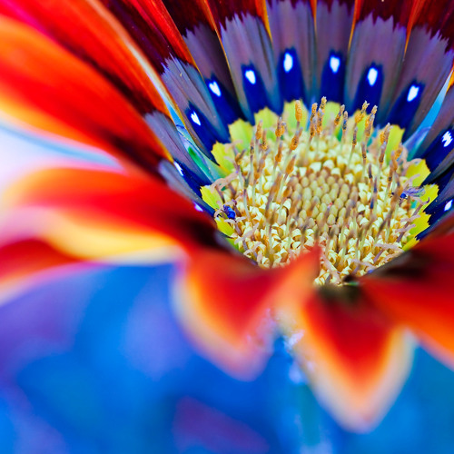 Yehi Pyaar Hai by Komal Rizvi (official music video)