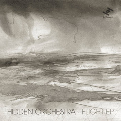 Hidden Orchestra - Dust (Floex Remix)
