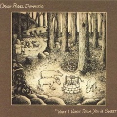 orion rigel dommisse - drink yourself