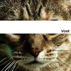 Joanna Newsom - Cosmia (Voek Edit)