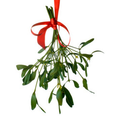 Mistletoe - a JB cover