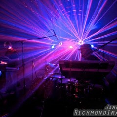 Robot Ears - Dirty Birdie