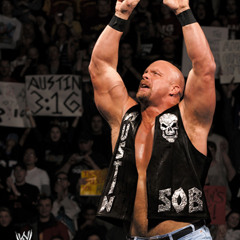 Stone Cold Steve Austin