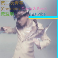 第二次青春 (Cookbook Drum & Bass)  l  黃耀明  by  P.Vibe