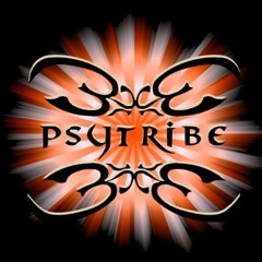 PsyTribe