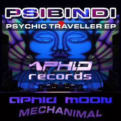 Psibindi & Mechanimal - Chromatic Space