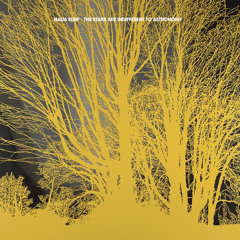 Nada Surf "When I Was Young" (from The Stars Are Indifferent To Astronomy)