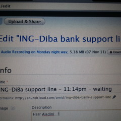 ING-DiBa support line - 11:14pm - waiting