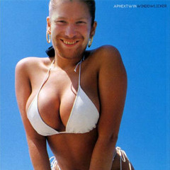 Aphex Twin - Windowlicker (Seiswork remix)