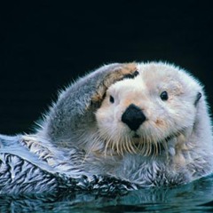 Fuck, I am Confused.