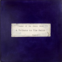 Max Tundra feat. Sarah Measures: Will Bleed Amen (Cardiacs cover)