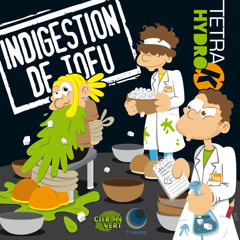 3 - Décroche Pong - Tetra Hydro K - Indigestion de tofu - Free Download -192kbps