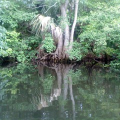 mandalenas burp - moon, stars and sun - mixed by PulpFusion